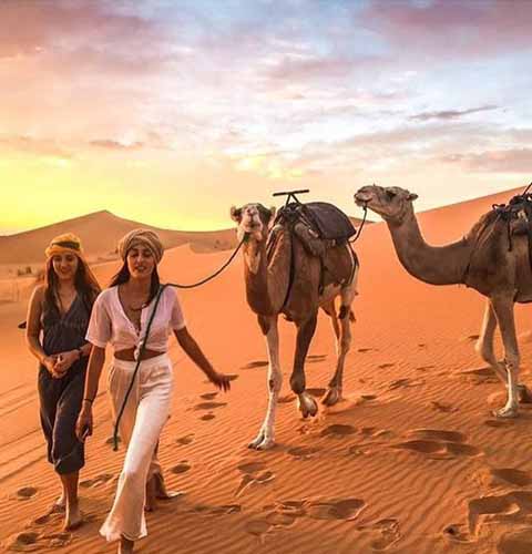 Camel Riding at Desert Safari Dubai