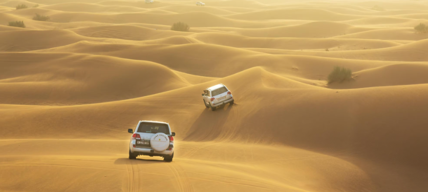 Desert Safari Dubai With Roar Adventure Tourism